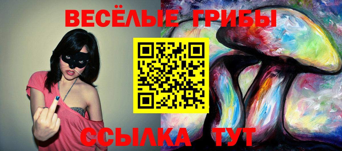 Псилоцибиновые грибы прущие грибы  Галлюциногенные грибы мицелий  Кинель  Вход с VPN 